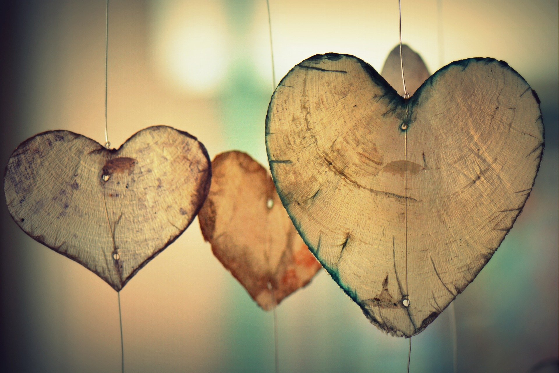 Trauma-Transforming Practices: Critical Literacies for Educators (Level 2)