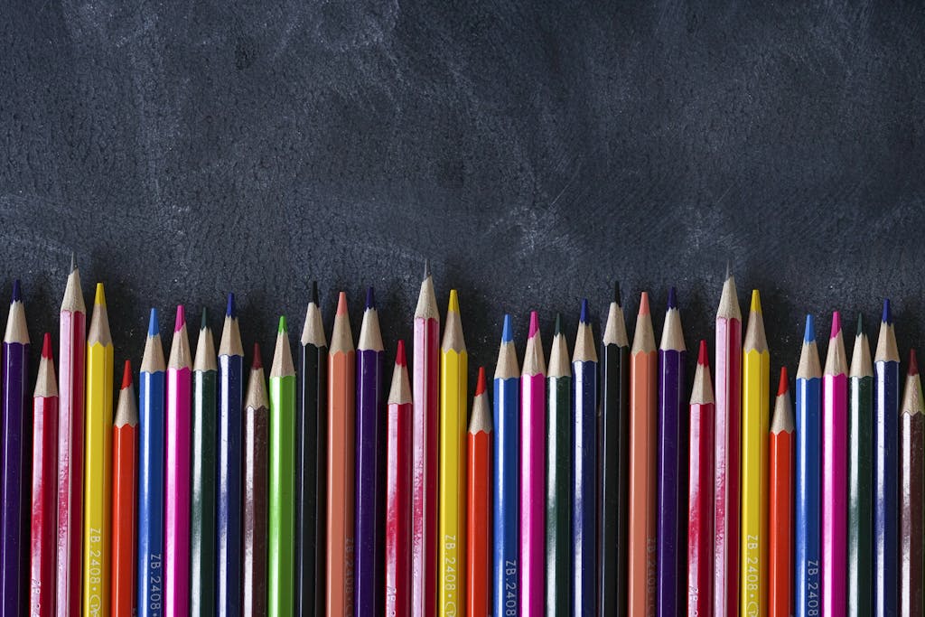 Vibrant colored pencils arranged on a chalkboard background for art projects.